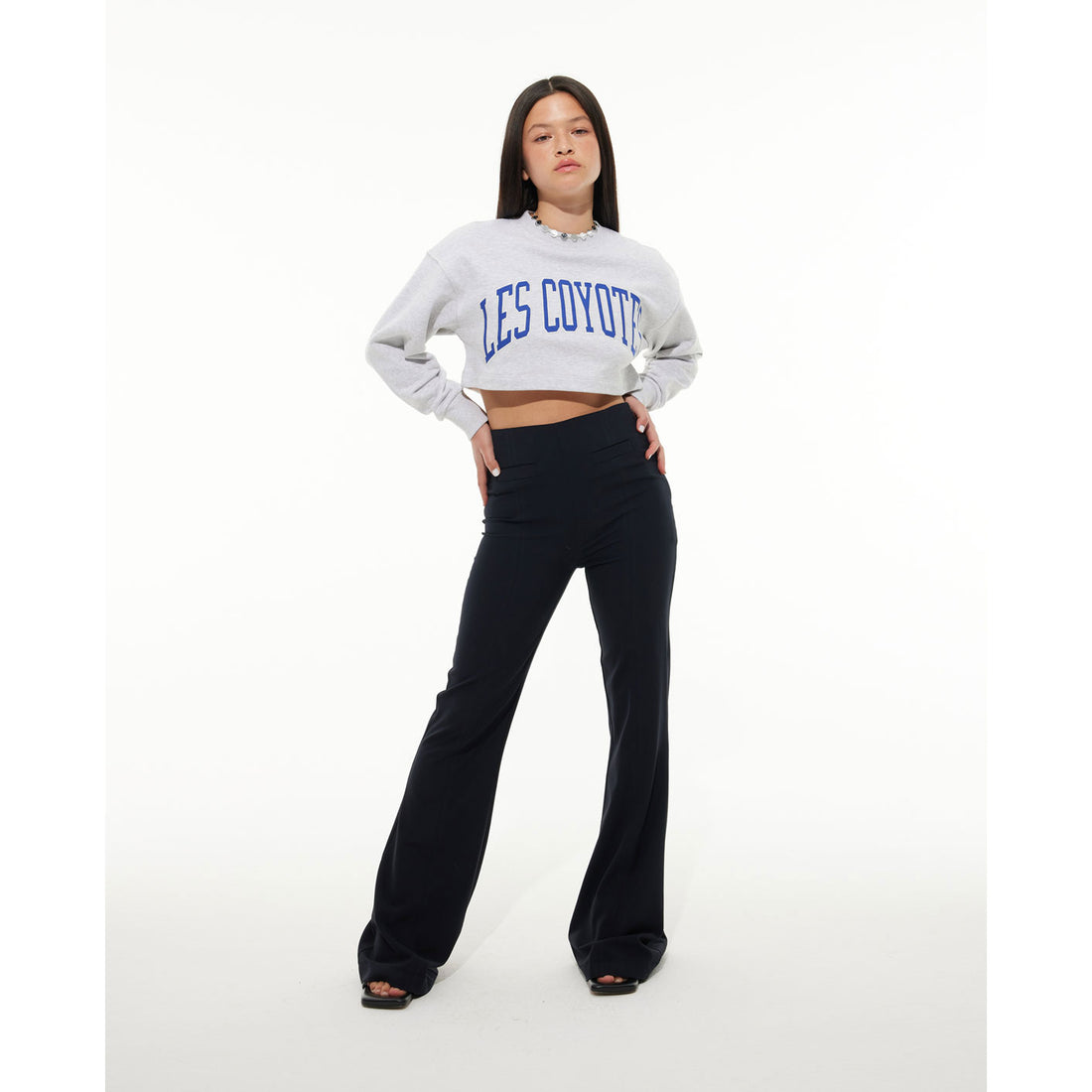 Les Coyotes De Paris Grey Melange Large Logo Cropped Sweatshirt