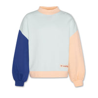 AO76 Multicolour Violeta Aolabel Sweatshirt