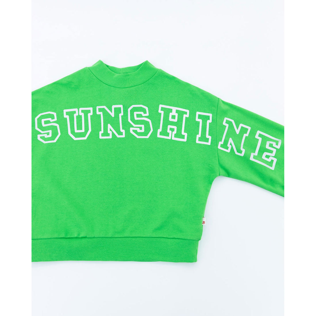 AO76 Garden Green Vileta Shine Sweatshirt