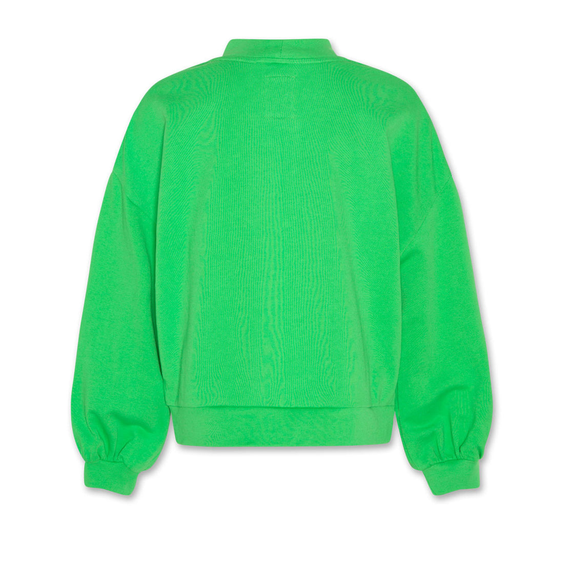AO76 Garden Green Vileta Shine Sweatshirt