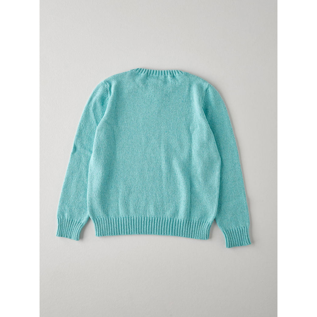 Nanos Aqua Knit V-neck Sweater