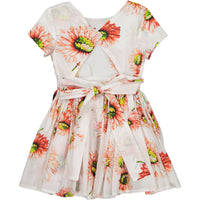 Morley Gerbera Poppy Harper Dress