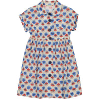 Bonpoint Ombre Liberty Print Waisted Shirtdress