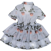 Caroline Bosmans Confused Rose Organza Dress