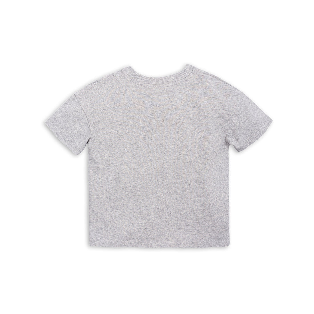 Mini Rodini Draco Grey Short Sleeve Tee