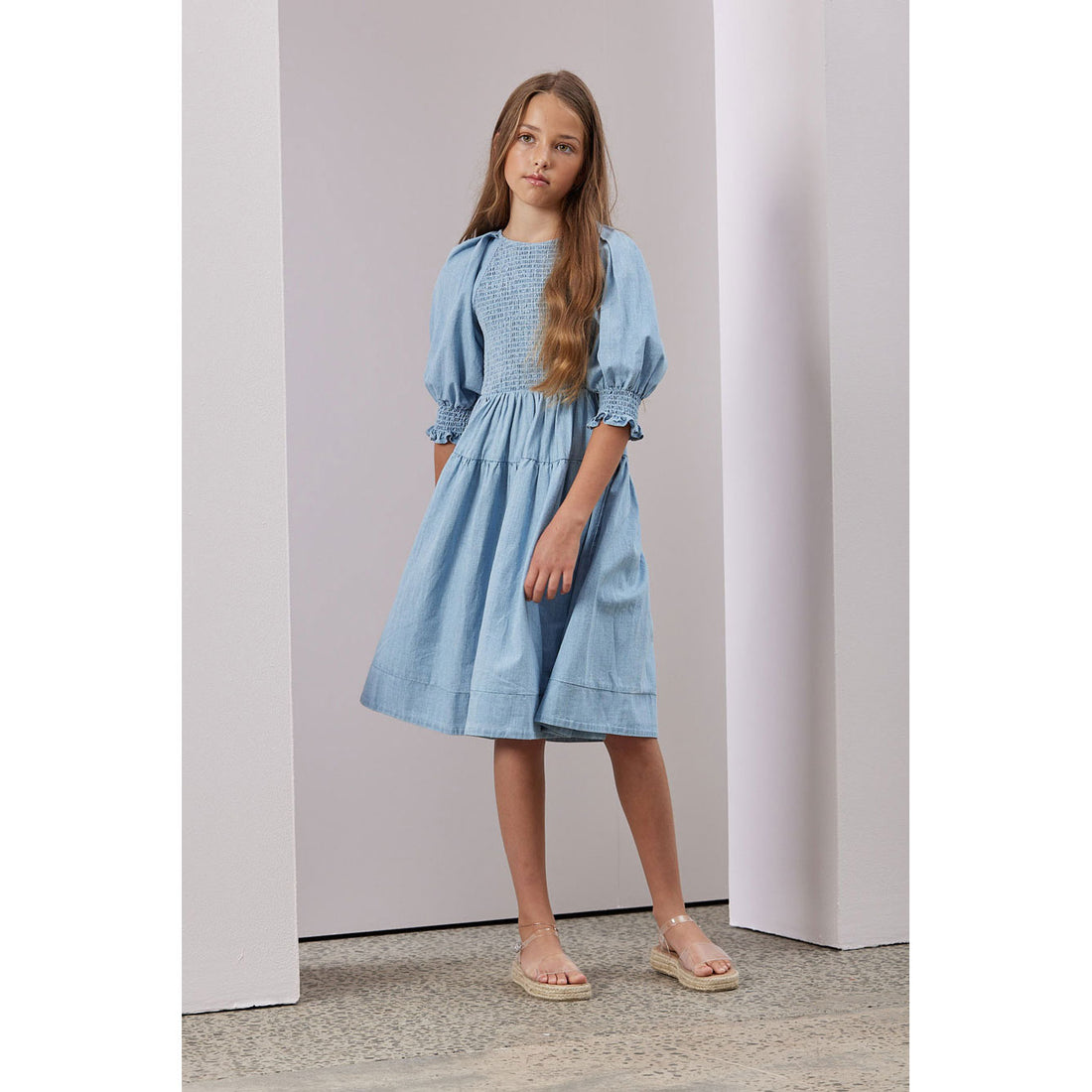 Steph Chambray Shirred Dress