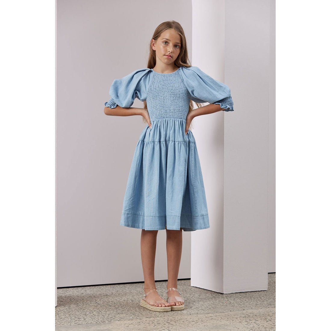 Steph Chambray Shirred Dress