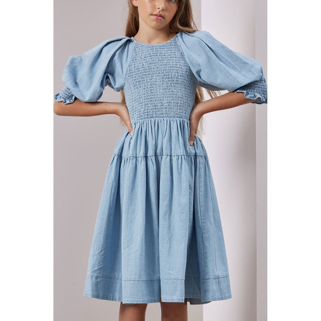 Steph Chambray Shirred Dress