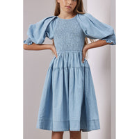 Steph Chambray Shirred Dress