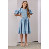 Steph Chambray Shirred Dress