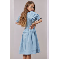 Steph Chambray Shirred Dress