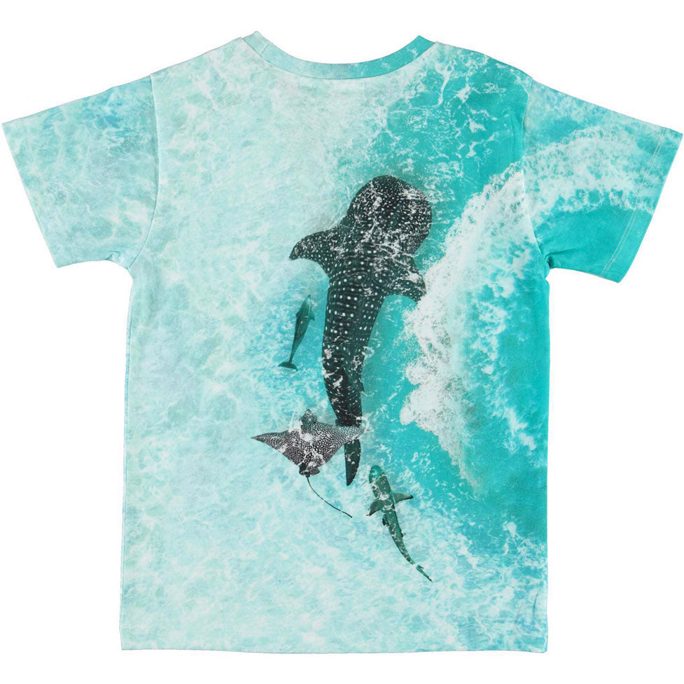Molo Boat Spin Raul T-Shirt