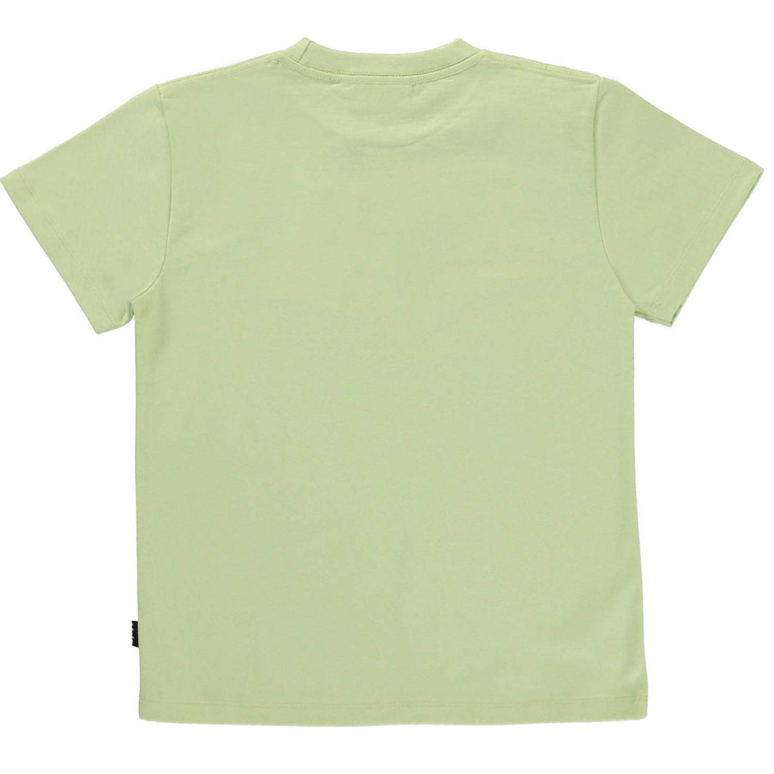 Molo Connecting Roxo Tee