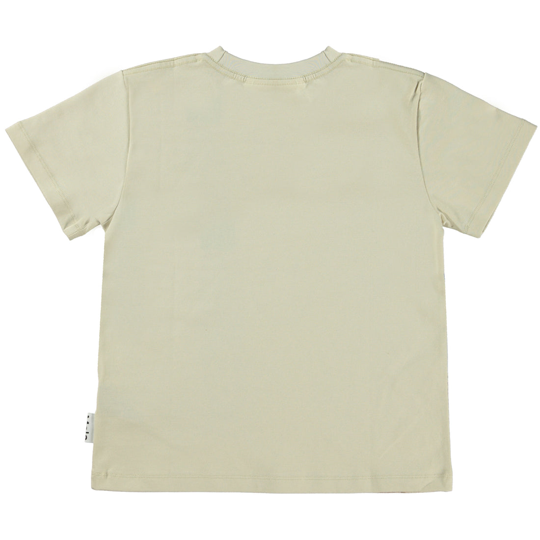 Molo Surfboard Smile Rame Short Sleeves Tee