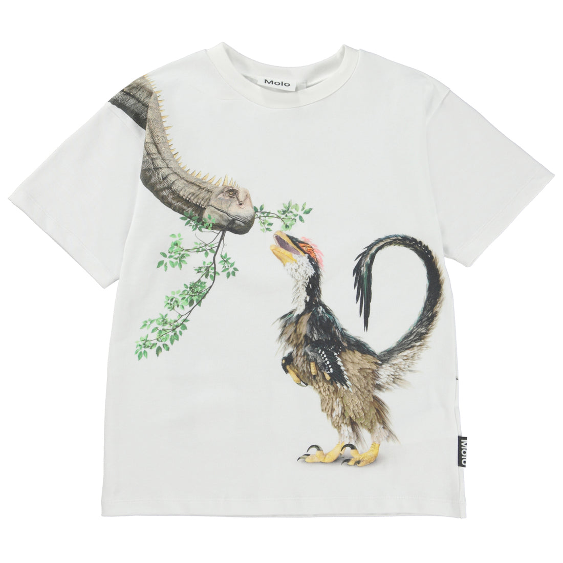 Molo Dino Meeting Rillo Short Sleeves Tee
