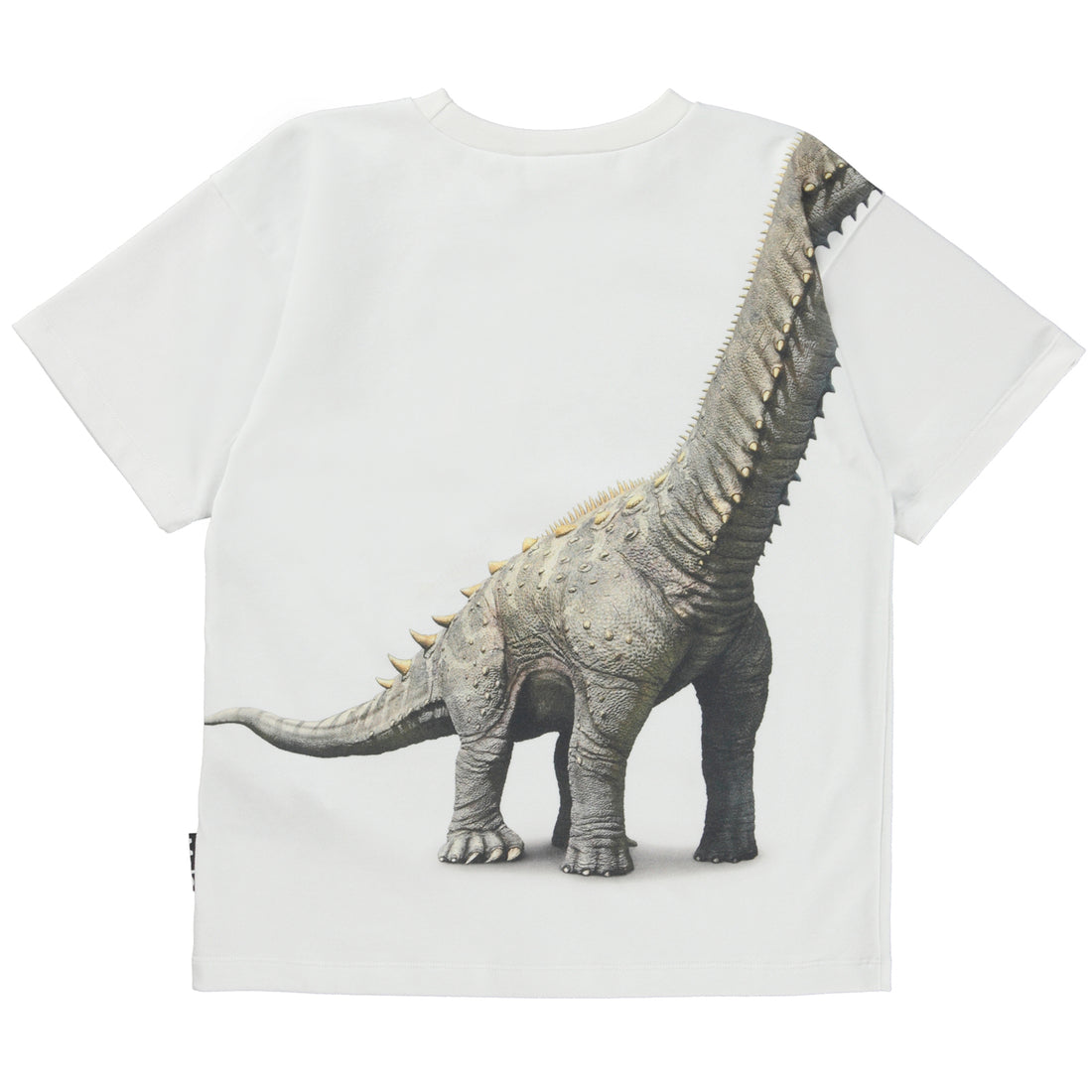 Molo Dino Meeting Rillo Short Sleeves Tee