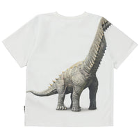 Molo Dino Meeting Rillo Short Sleeves Tee