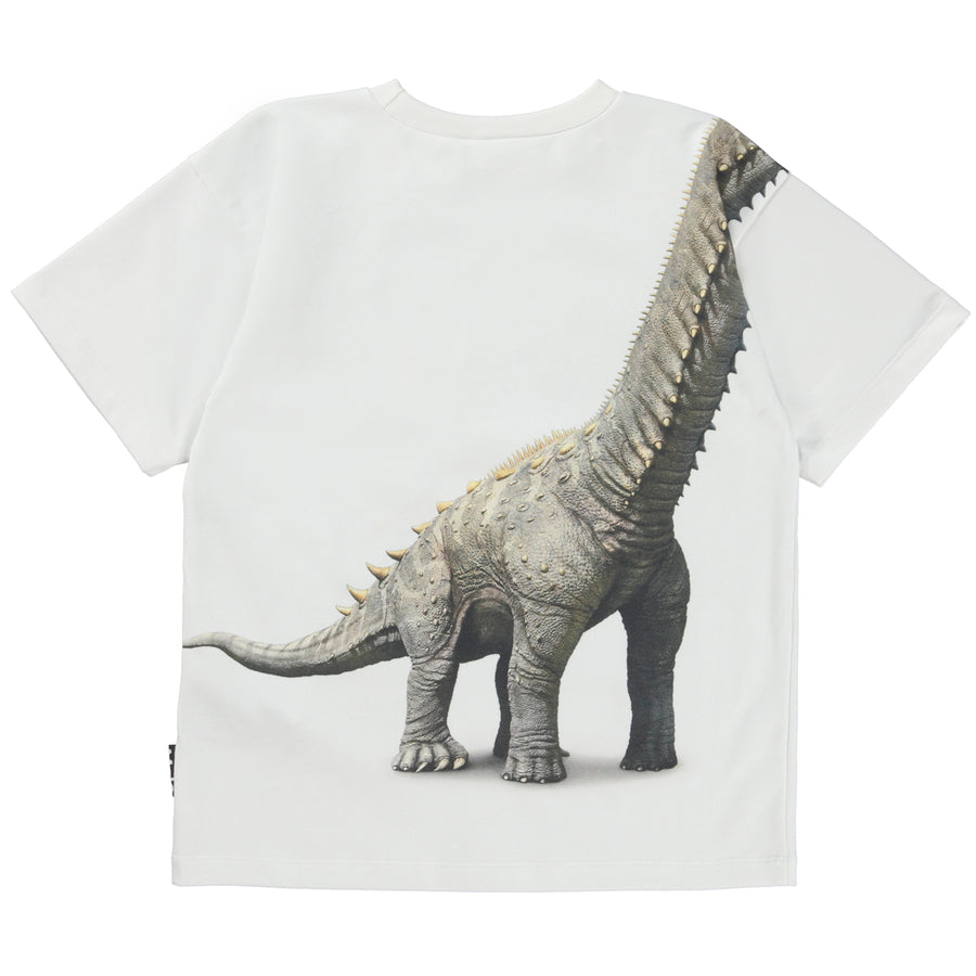 Molo Dino Meeting Rillo Short Sleeves Tee