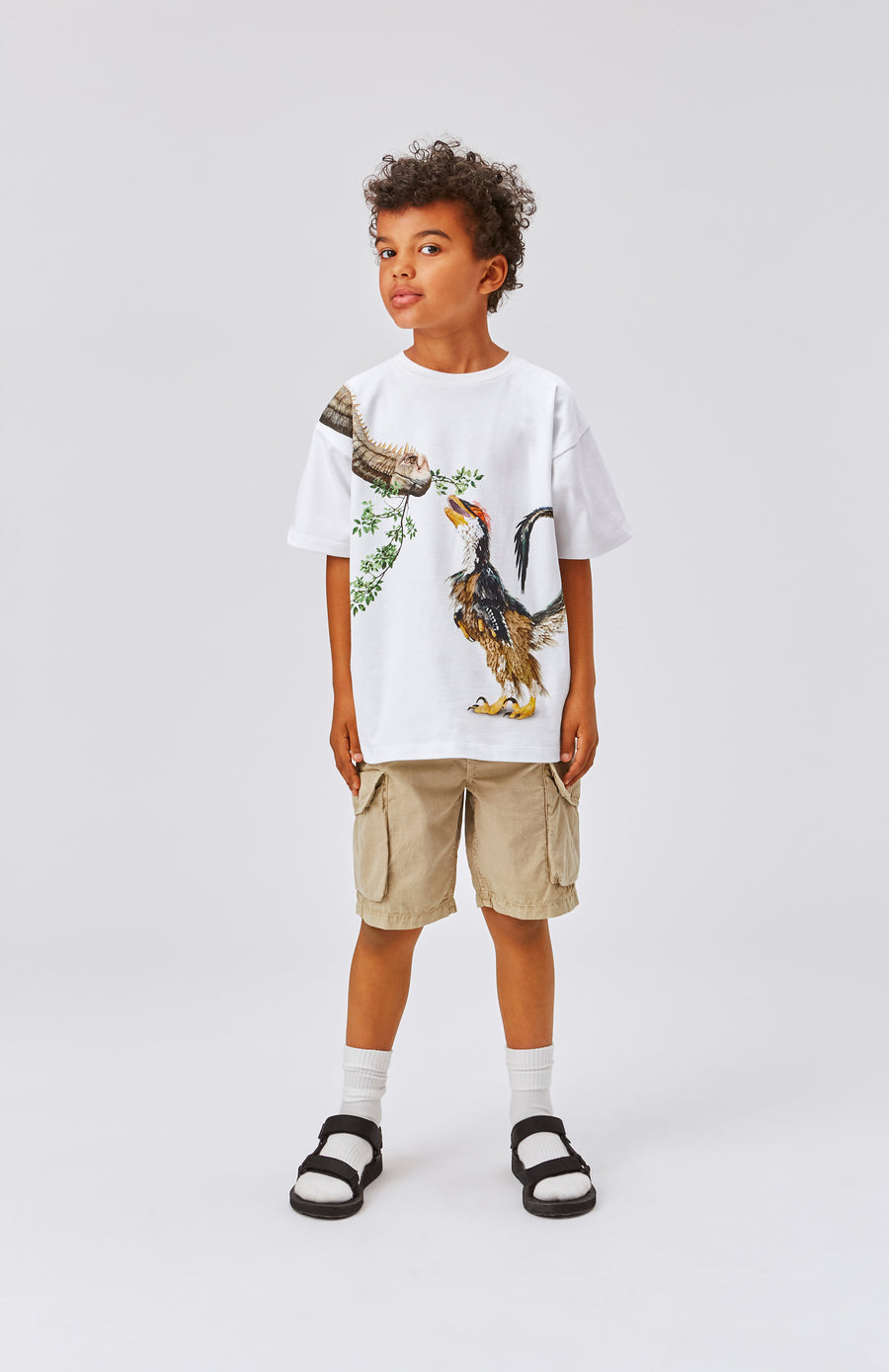 Molo Dino Meeting Rillo Short Sleeves Tee
