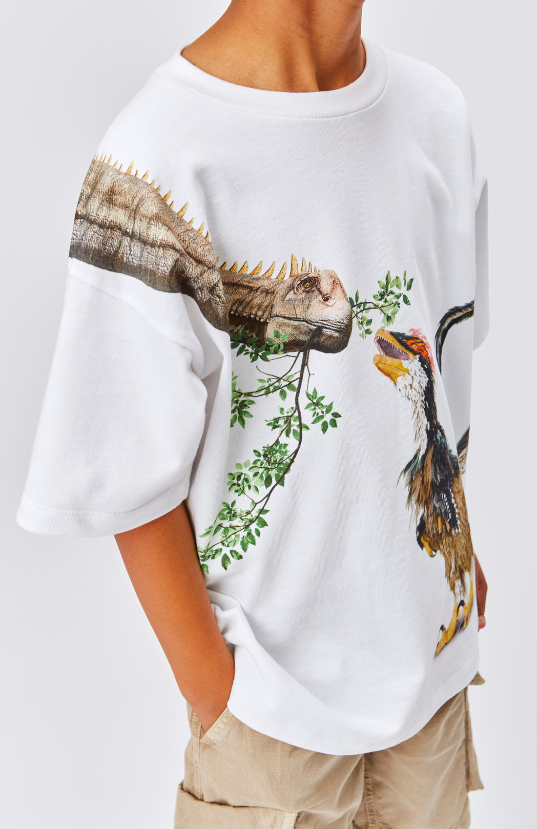Molo Dino Meeting Rillo Short Sleeves Tee