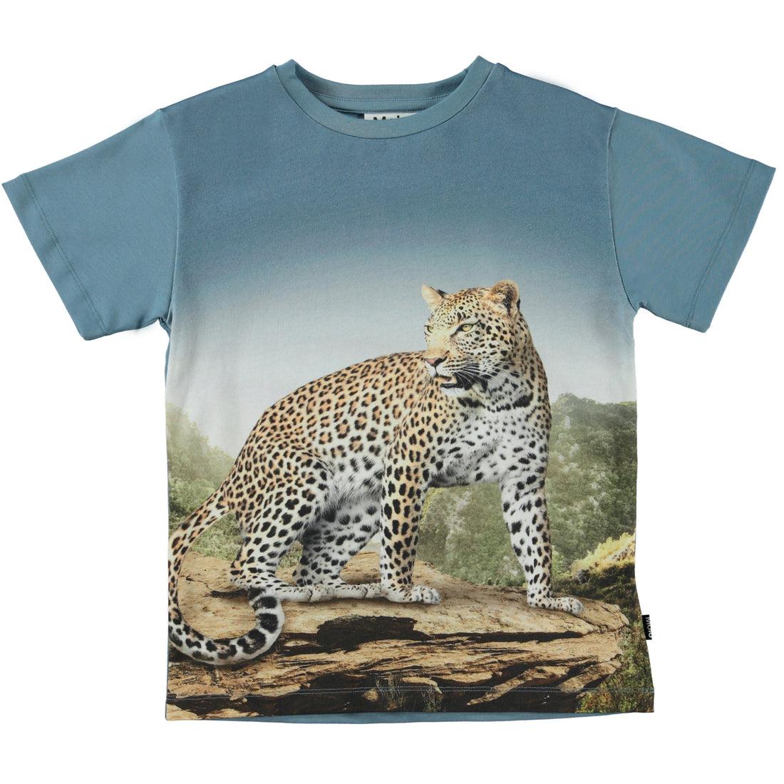 Molo Mountain Leopard Rasmus Short Sleeves Tee
