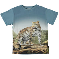Molo Mountain Leopard Rasmus Short Sleeves Tee