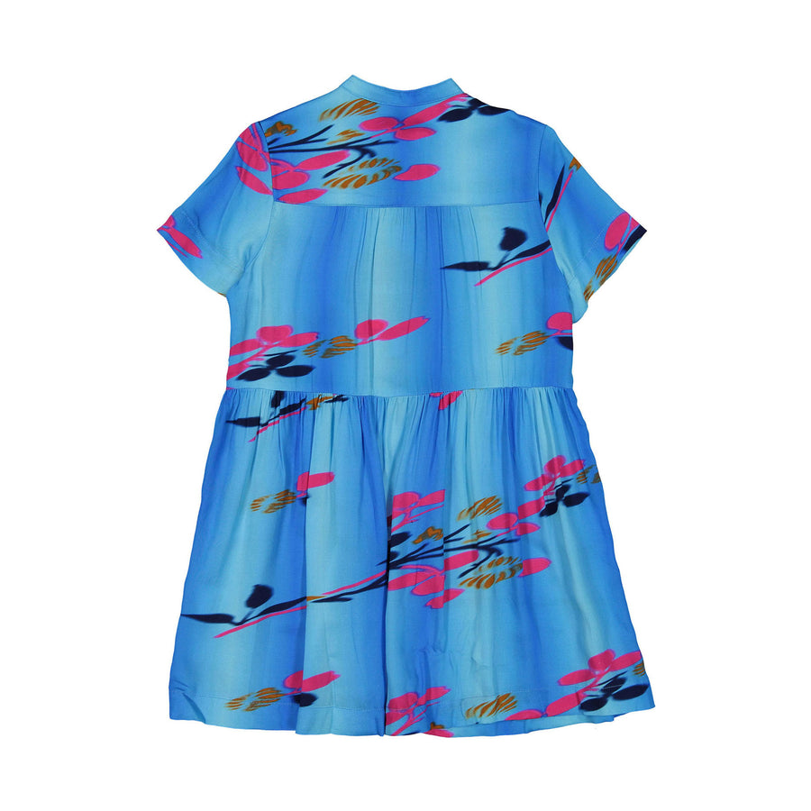 Maan Blue Watercolor Floral Lentil Maxi Dress