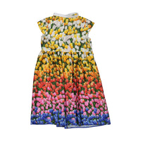 Loredana Tulip Print Shirt Dress