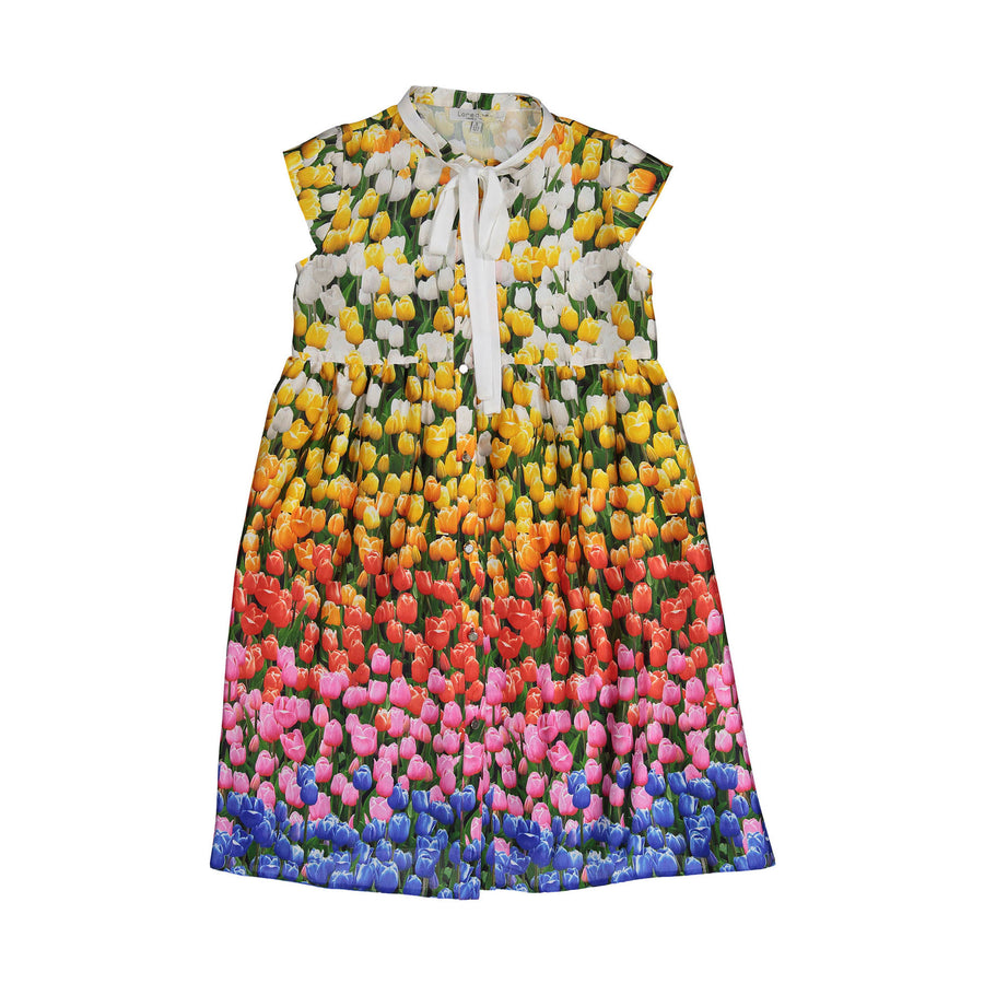 Loredana Tulip Print Shirt Dress