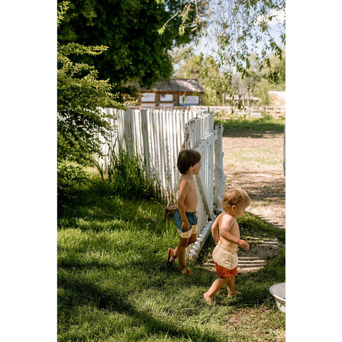 Fin and Vince Sorbet Board Shorts