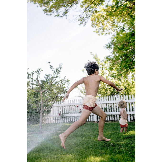 Fin and Vince Sorbet Board Shorts