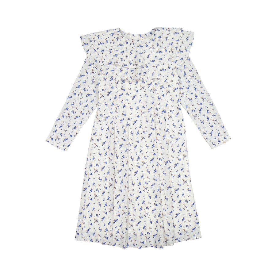 Ava and Lu Blue Floral Collared Dress