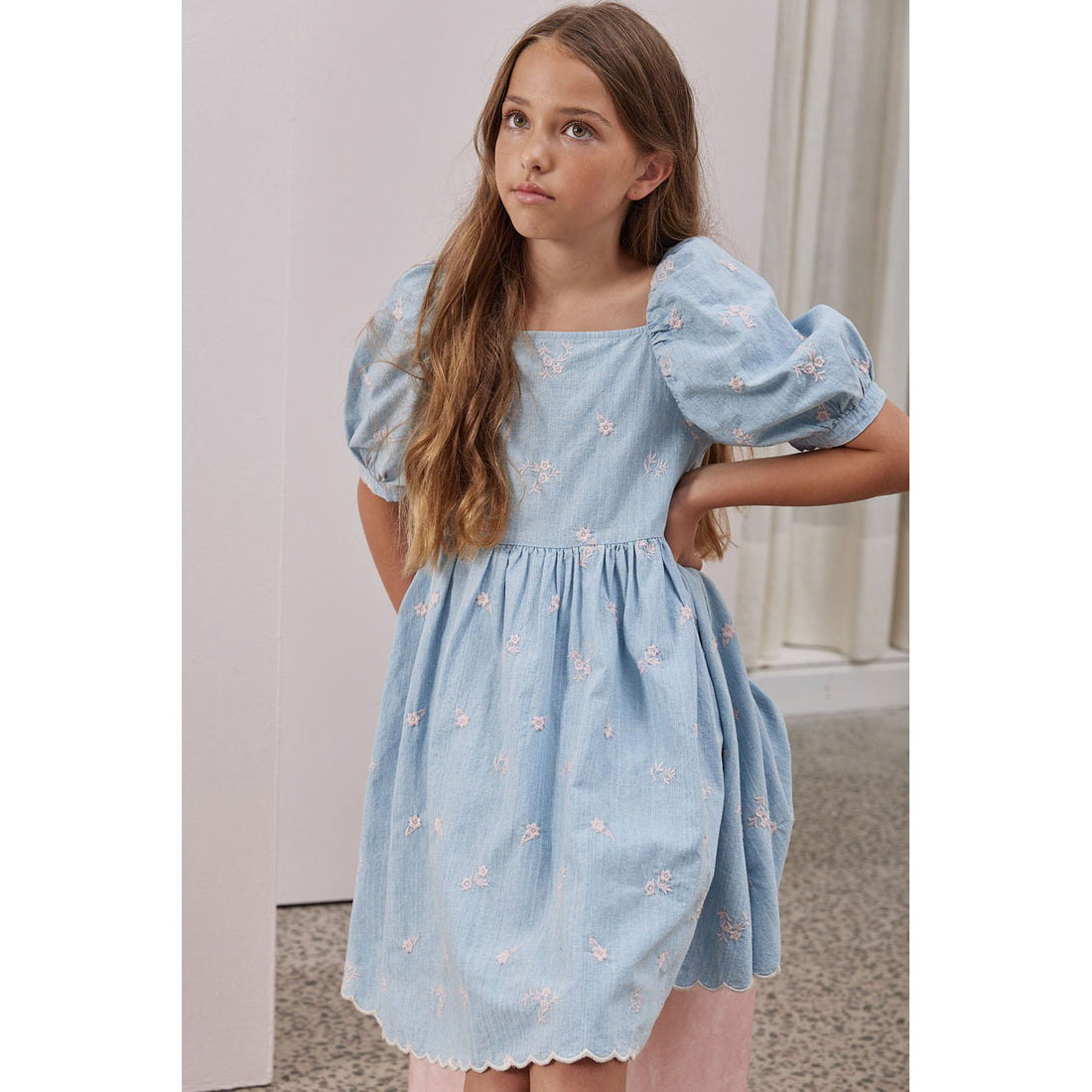 Steph Chambray/Pink Embroidered Puff Sleeve Dress