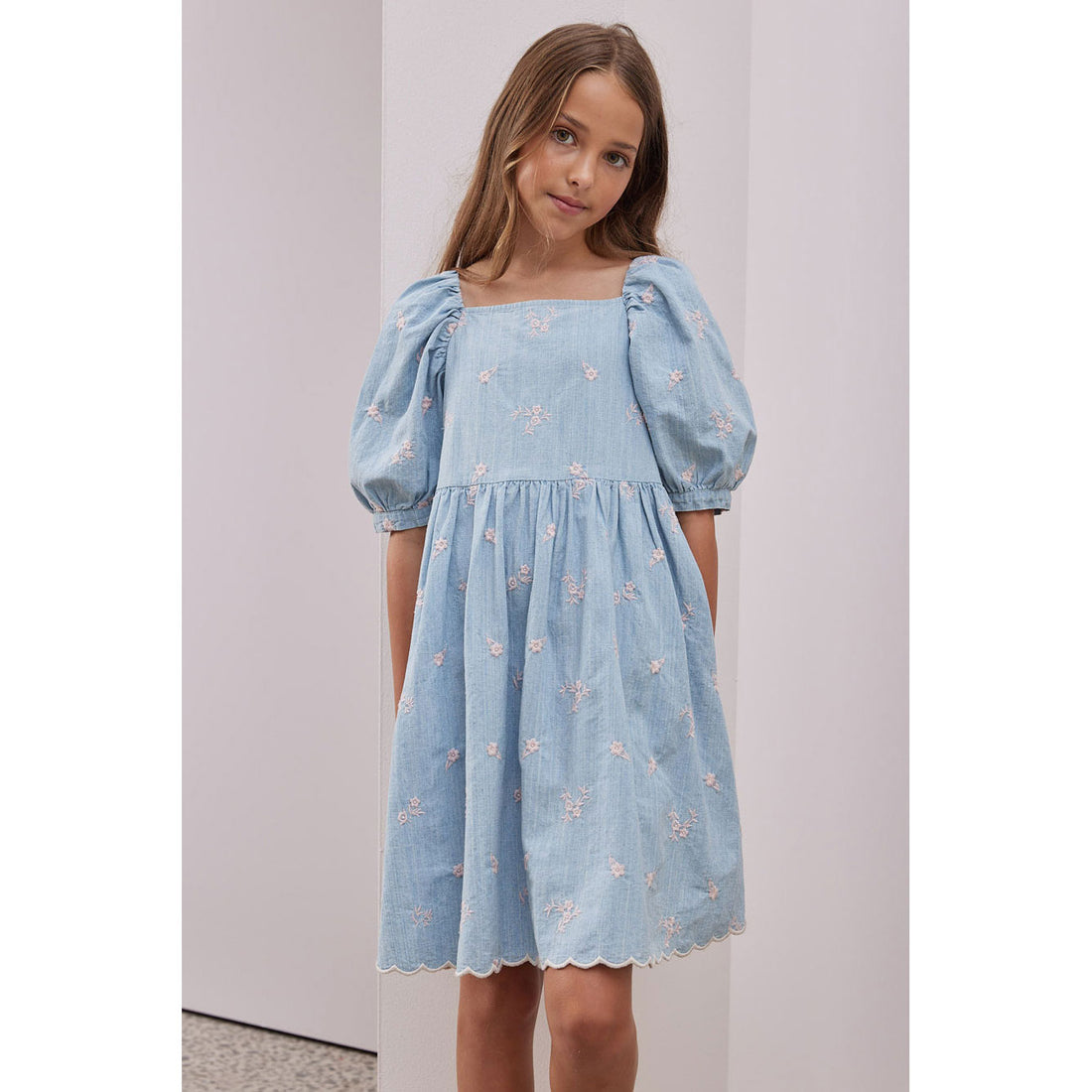 Steph Chambray/Pink Embroidered Puff Sleeve Dress