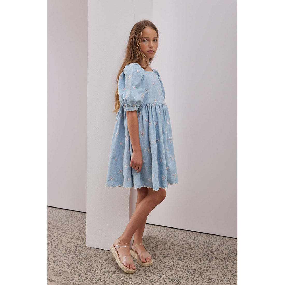 Steph Chambray/Pink Embroidered Puff Sleeve Dress