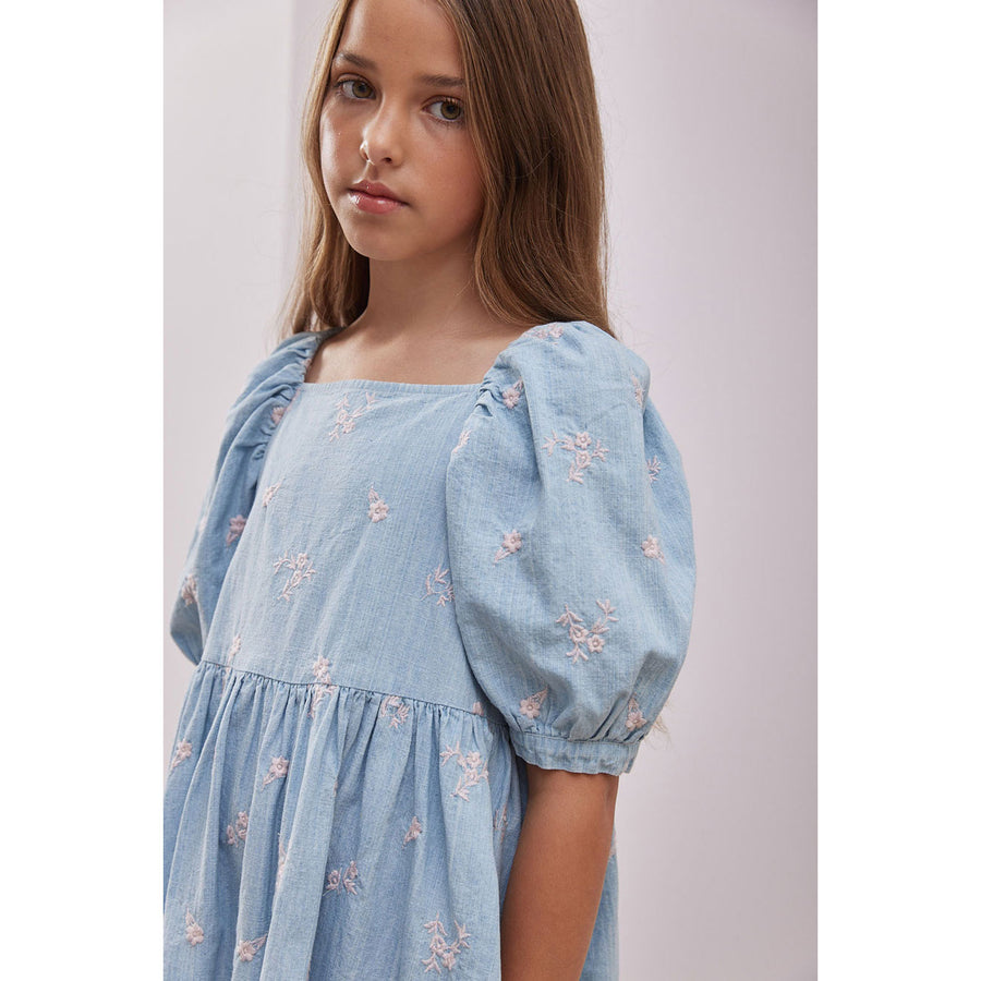 Steph Chambray/Pink Embroidered Puff Sleeve Dress
