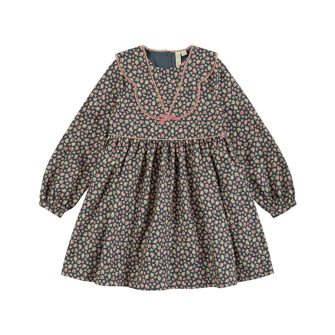 Little Cotton Clothes Tiny Rose Floral Sybil Dress