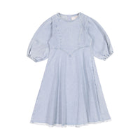 Steph Denim Puff Sleeve Dress