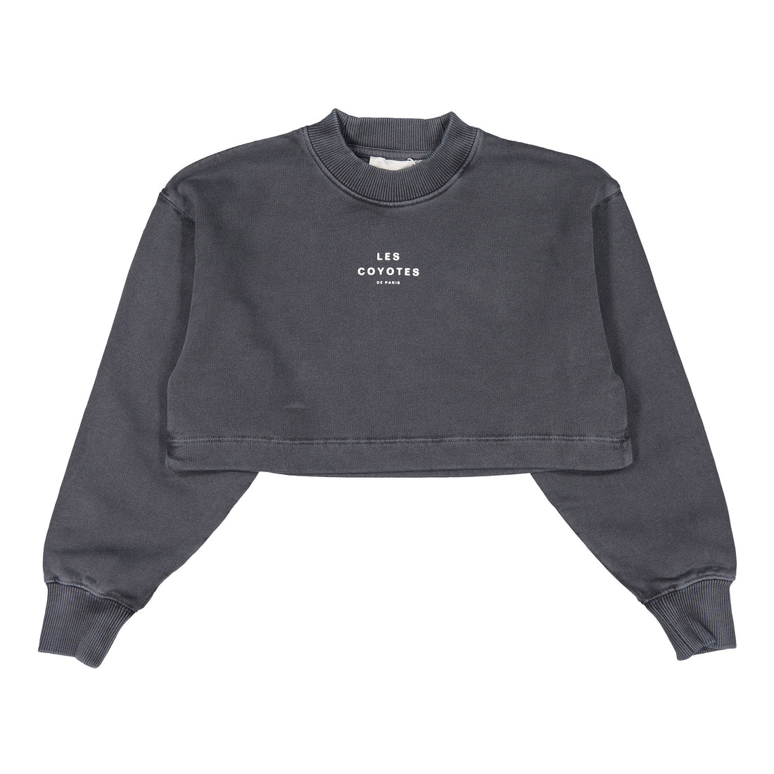Les Coyotes De Paris Grey Cropped Crewneck Sweater