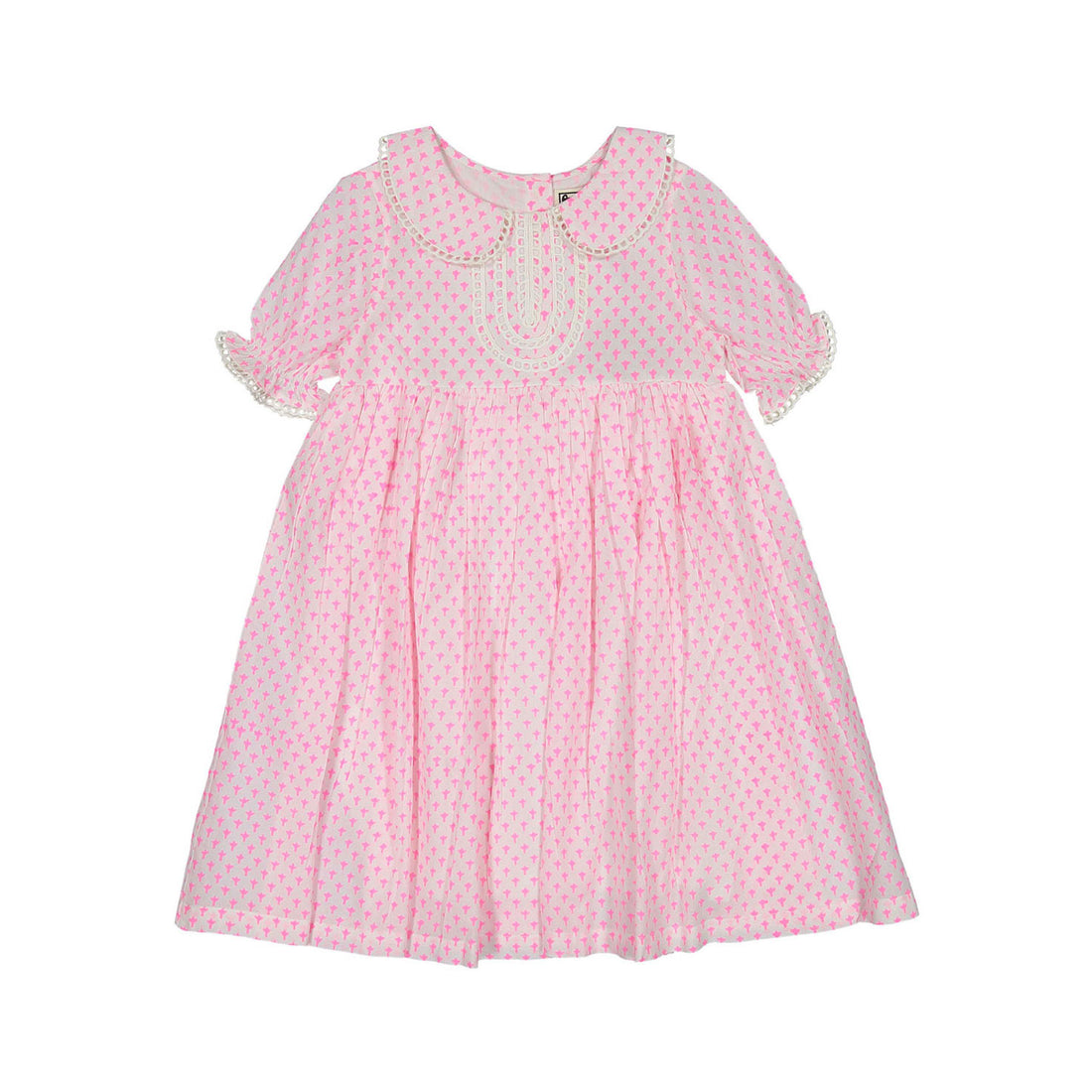 Paisley Magic Pink Butti Print Luna Dress