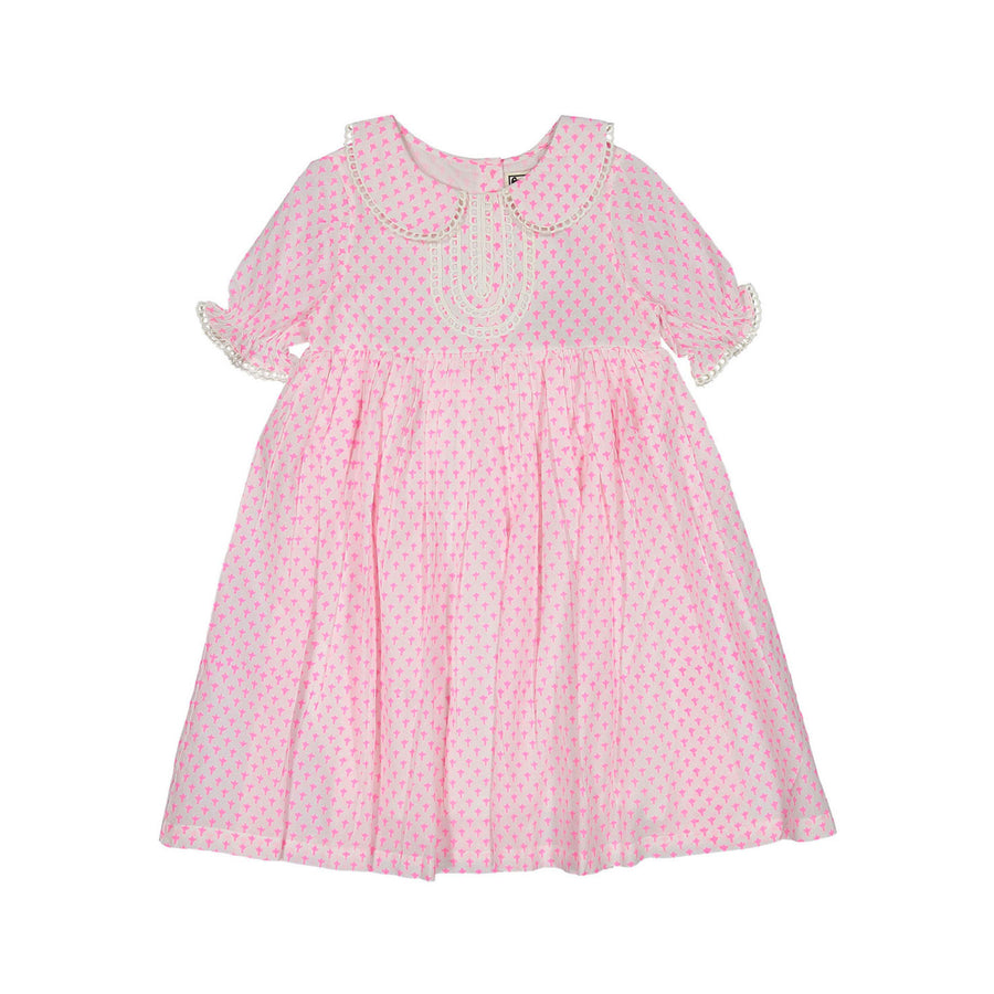 Paisley Magic Pink Butti Print Luna Dress