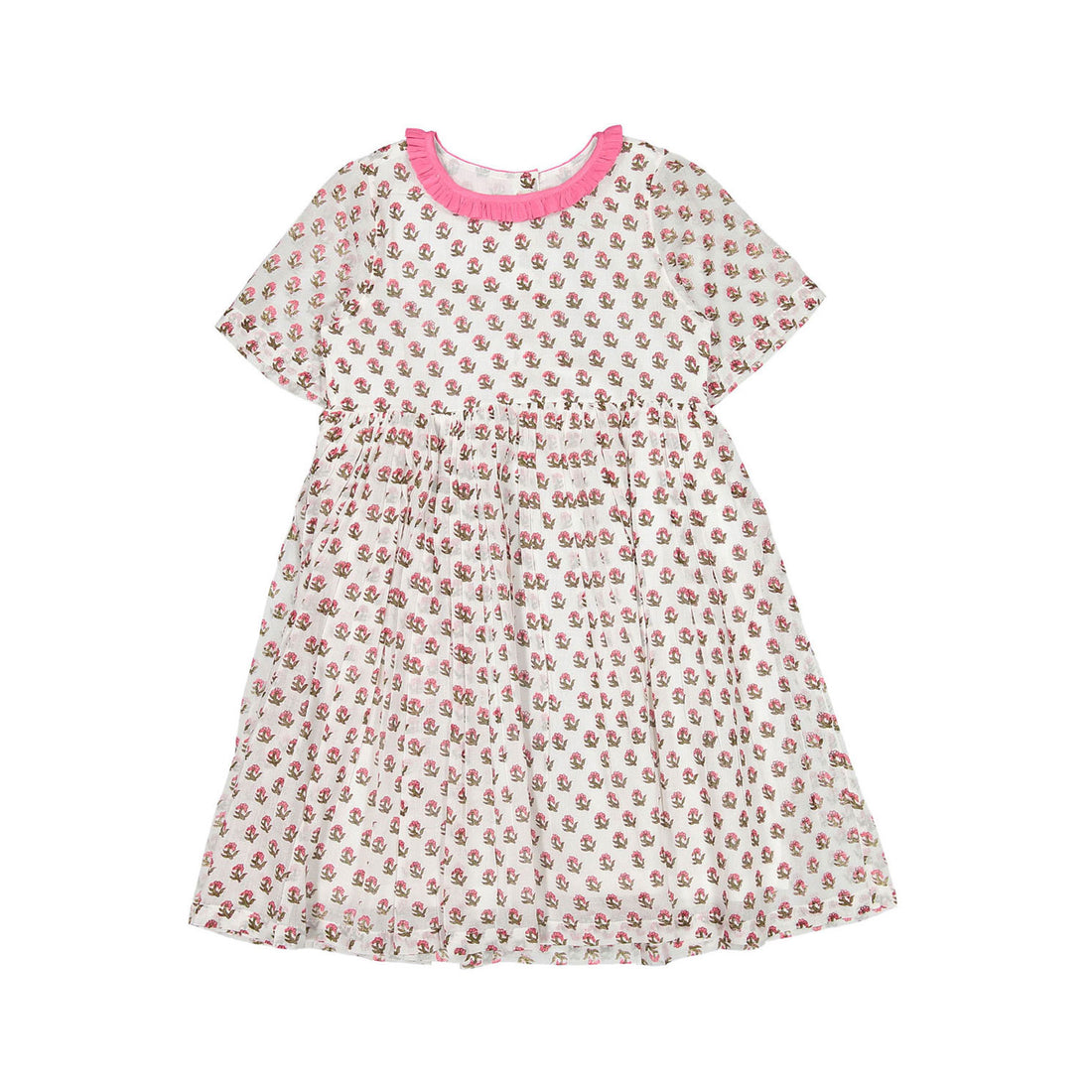 Paisley Magic Floral Rose Dress