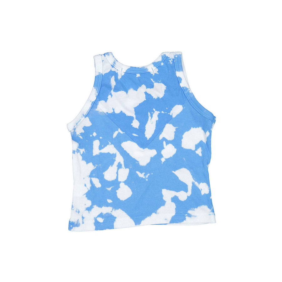 Fairwell Cloud Baja Tank