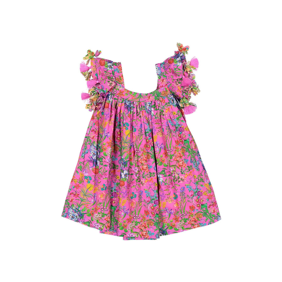 Nellystella Garden Floral Magenta Chloe Dress