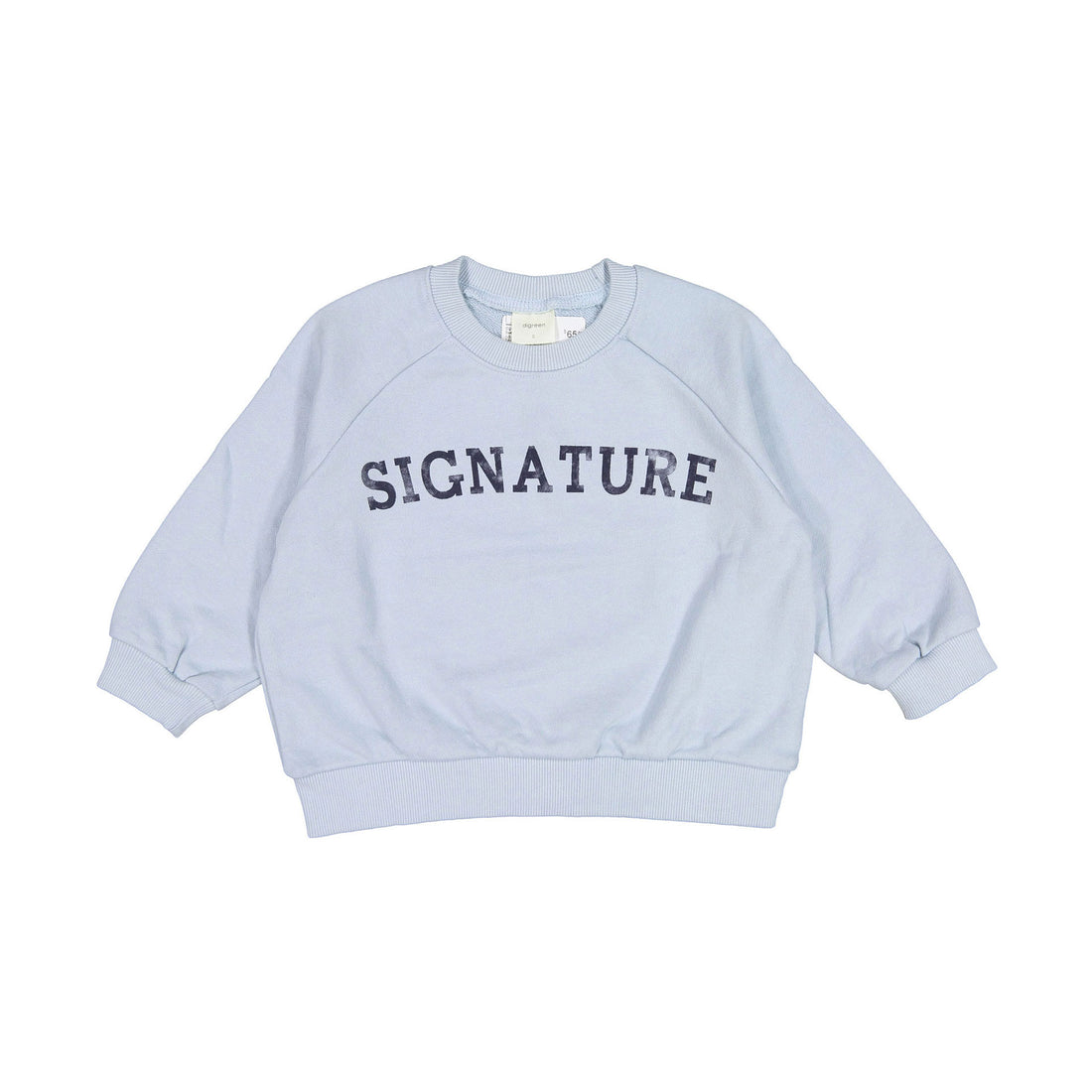 Digreen Signature Sweatshirt - Sky