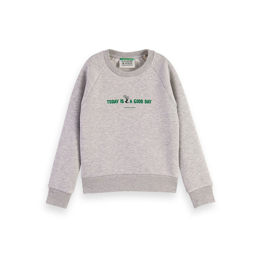 Scotch Shrunk Grey Relaxed-Fit Artwork Sweatshirt