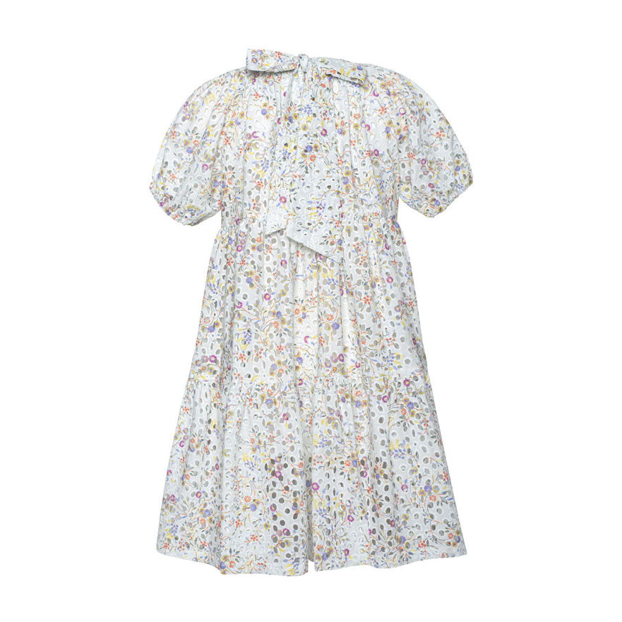 Paade Mode Multicolor Adele Dress