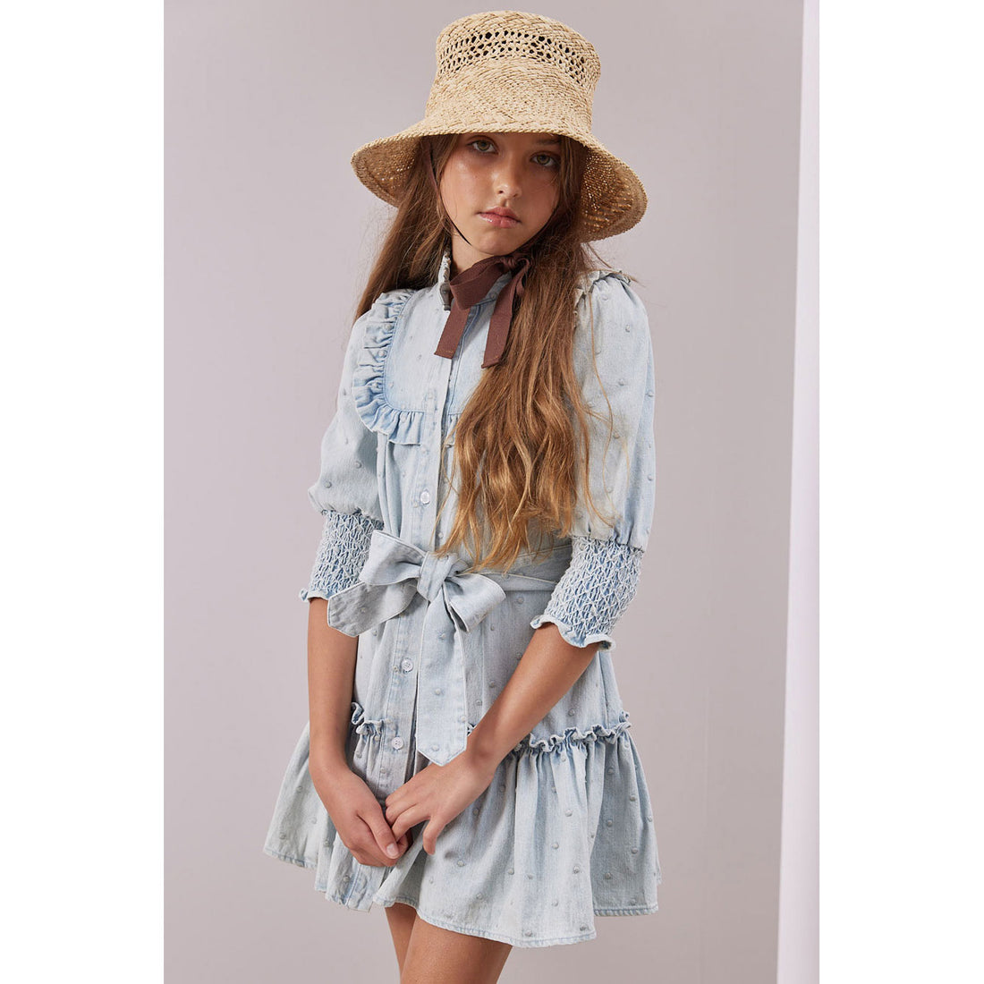 Steph Light Denim Embroidered Dot Elbow Sleeve Dress – Ladida