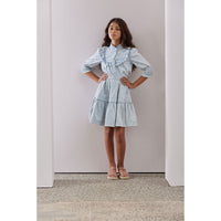 Steph Light Denim Embroidered Skirt