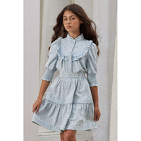 Steph Light Denim Embroidered Skirt